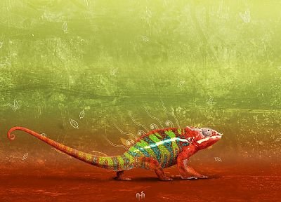 multicolor, lizards - duplicate desktop wallpaper