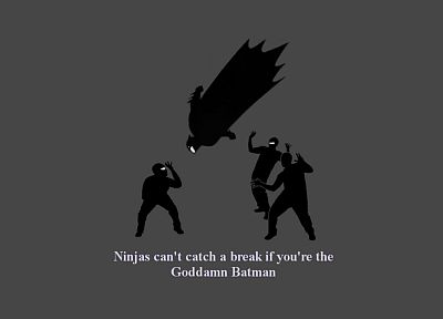 Goddamn Batman, ninjas cant catch you if - random desktop wallpaper