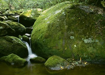 water, nature, rocks, moss - random desktop wallpaper