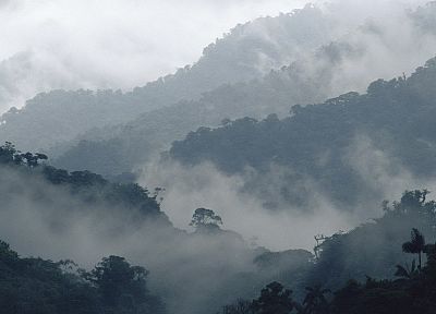 mountains, landscapes, fog, mist - related desktop wallpaper