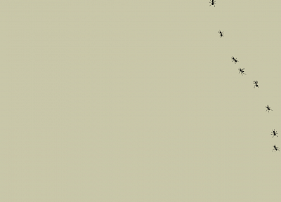 minimalistic - random desktop wallpaper
