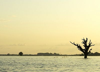 landscapes, trees, silhouettes, lonely, travel, lakes, Myanmar - related desktop wallpaper