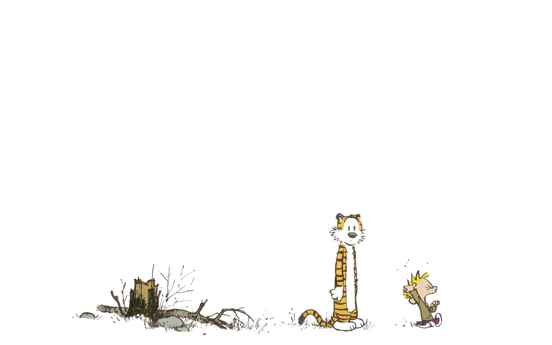 Calvin, Calvin and Hobbes - desktop wallpaper
