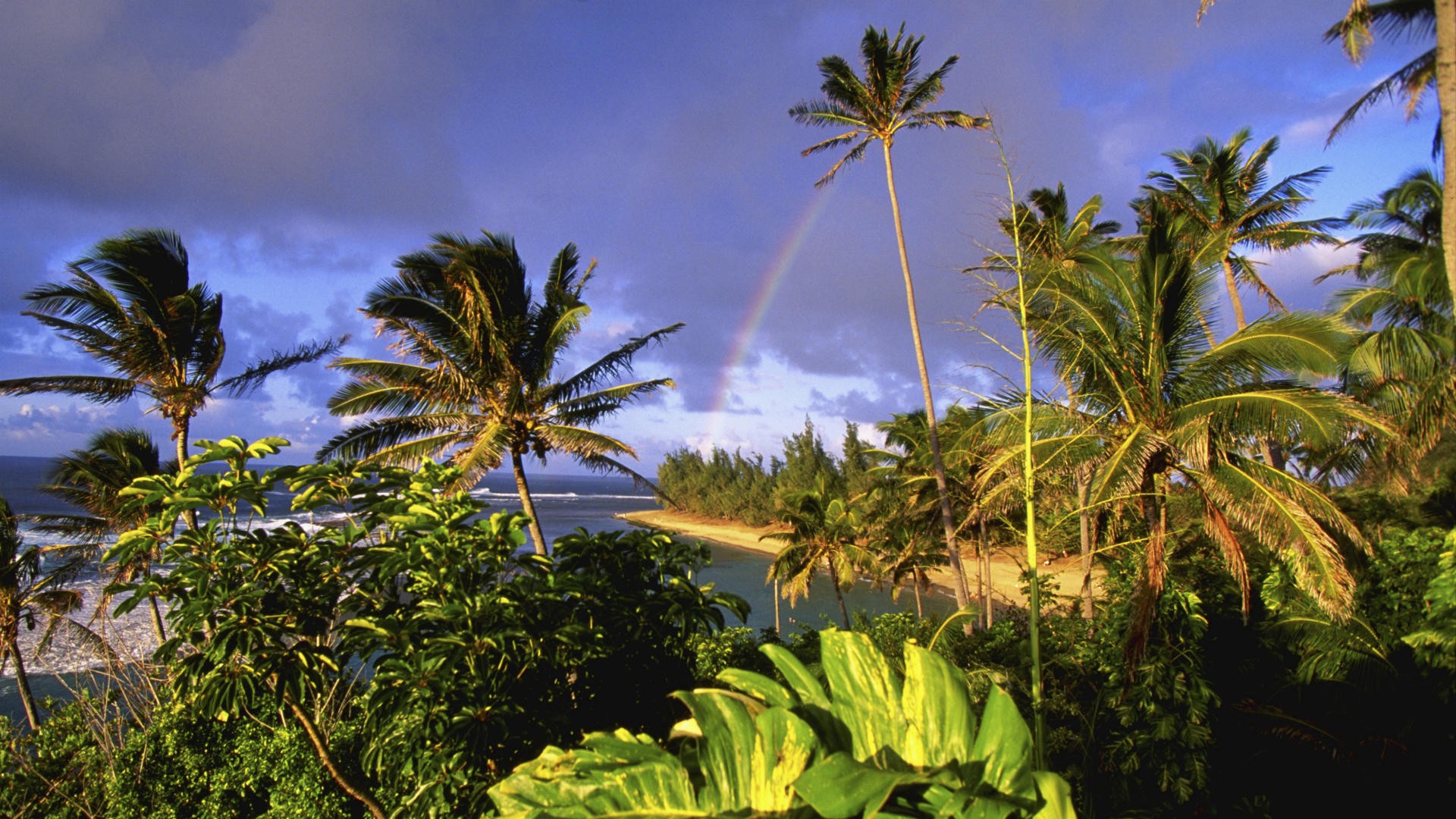 Hawaii, kauai, parks, beaches - desktop wallpaper