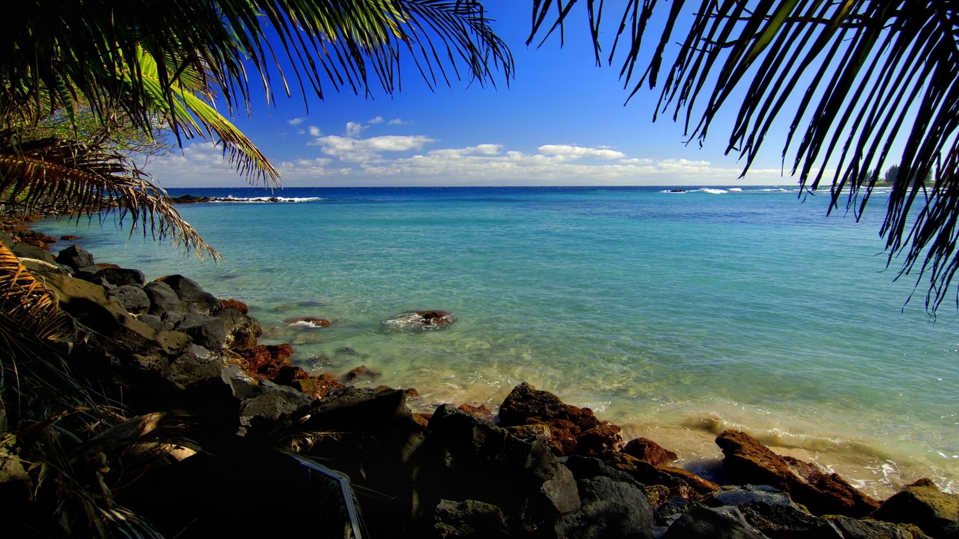 Hawaii, lagoon, palm leaves - desktop wallpaper