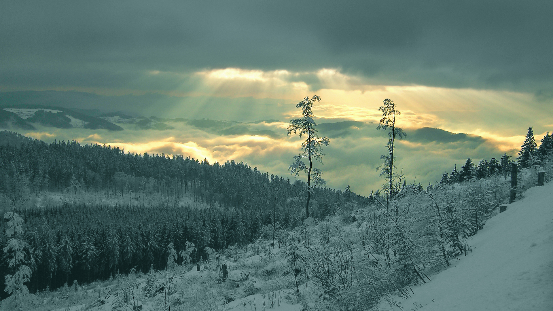 mountains, clouds, landscapes, nature, snow, Sun, trees, forests, clearcut - desktop wallpaper