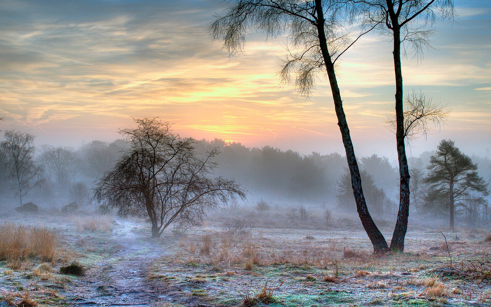 sunset, clouds, landscapes, nature, winter, snow, trees, forests, skyscapes - desktop wallpaper