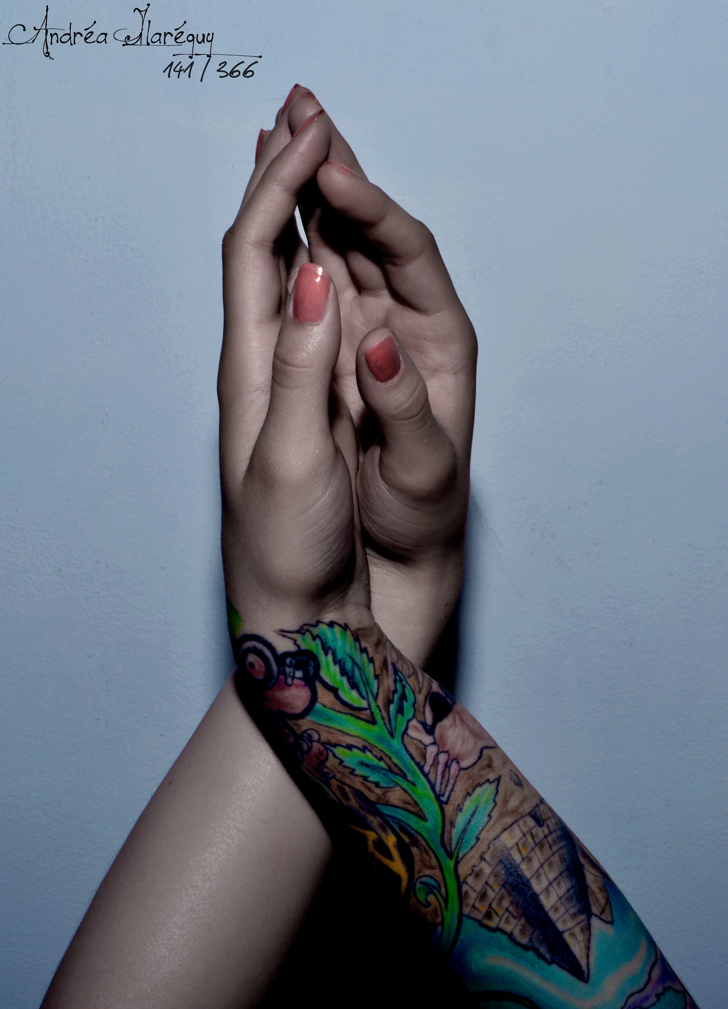 tattoos, hands, self portrait, Andrea La Pirate - desktop wallpaper