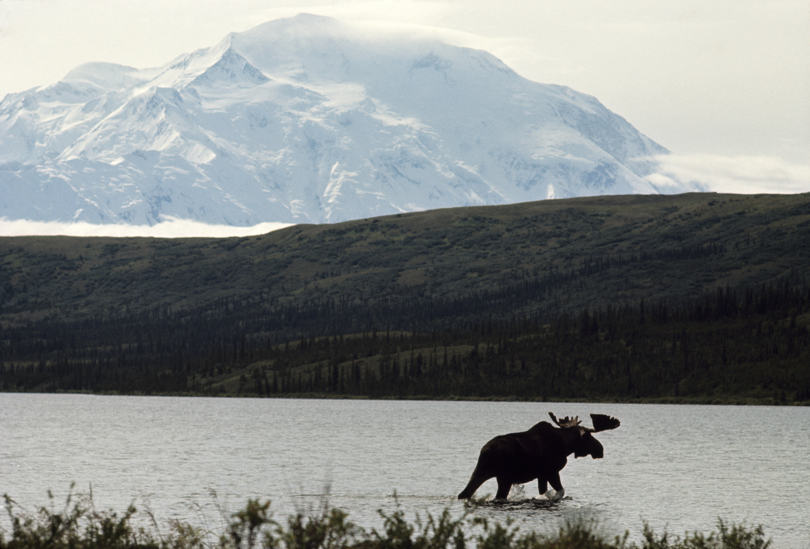 mountains, landscapes, Mt. McKinley - desktop wallpaper
