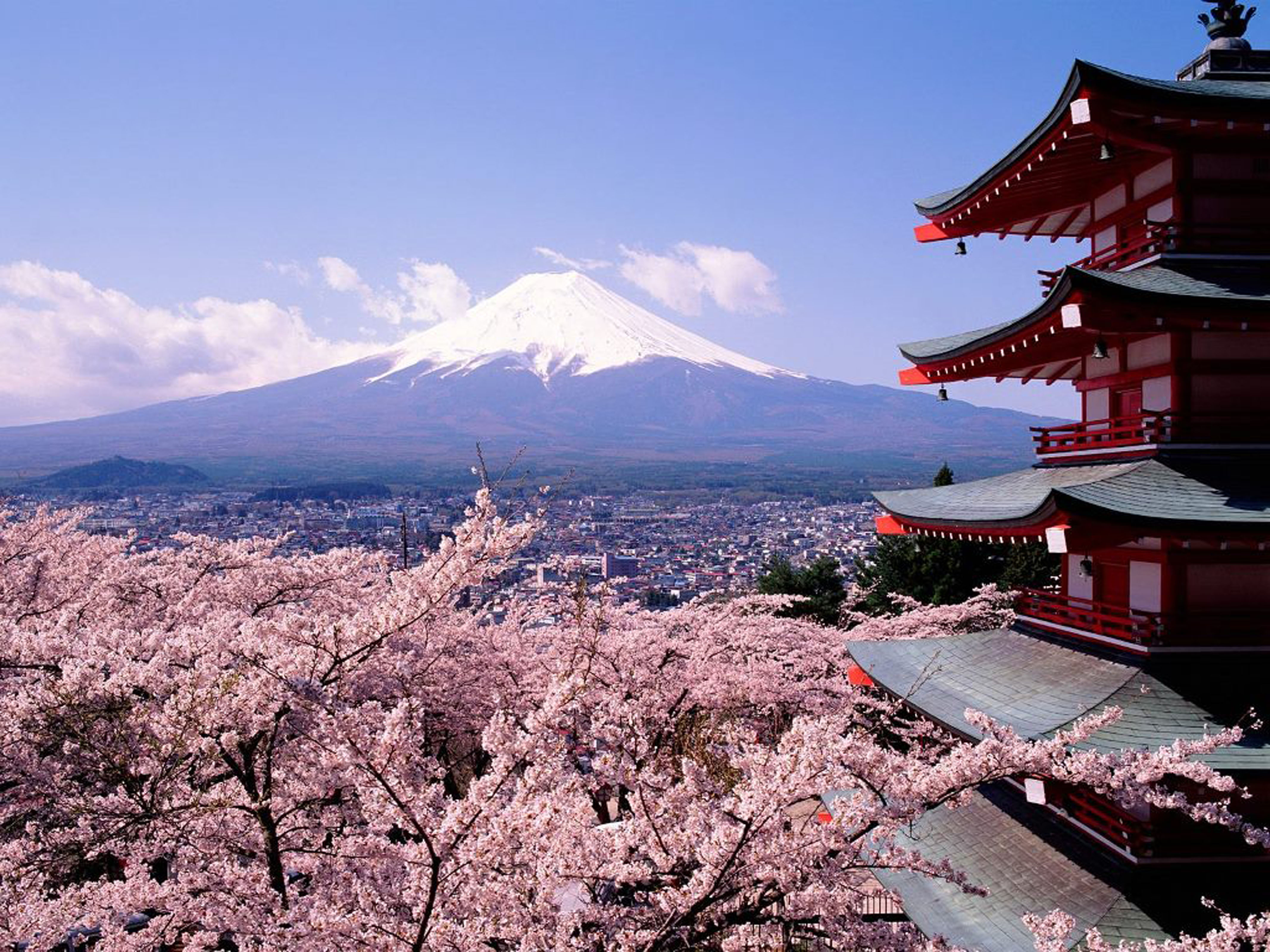 Japan, Mount Fuji, cherry blossoms, pagodas, Chureito Pagoda - desktop wallpaper