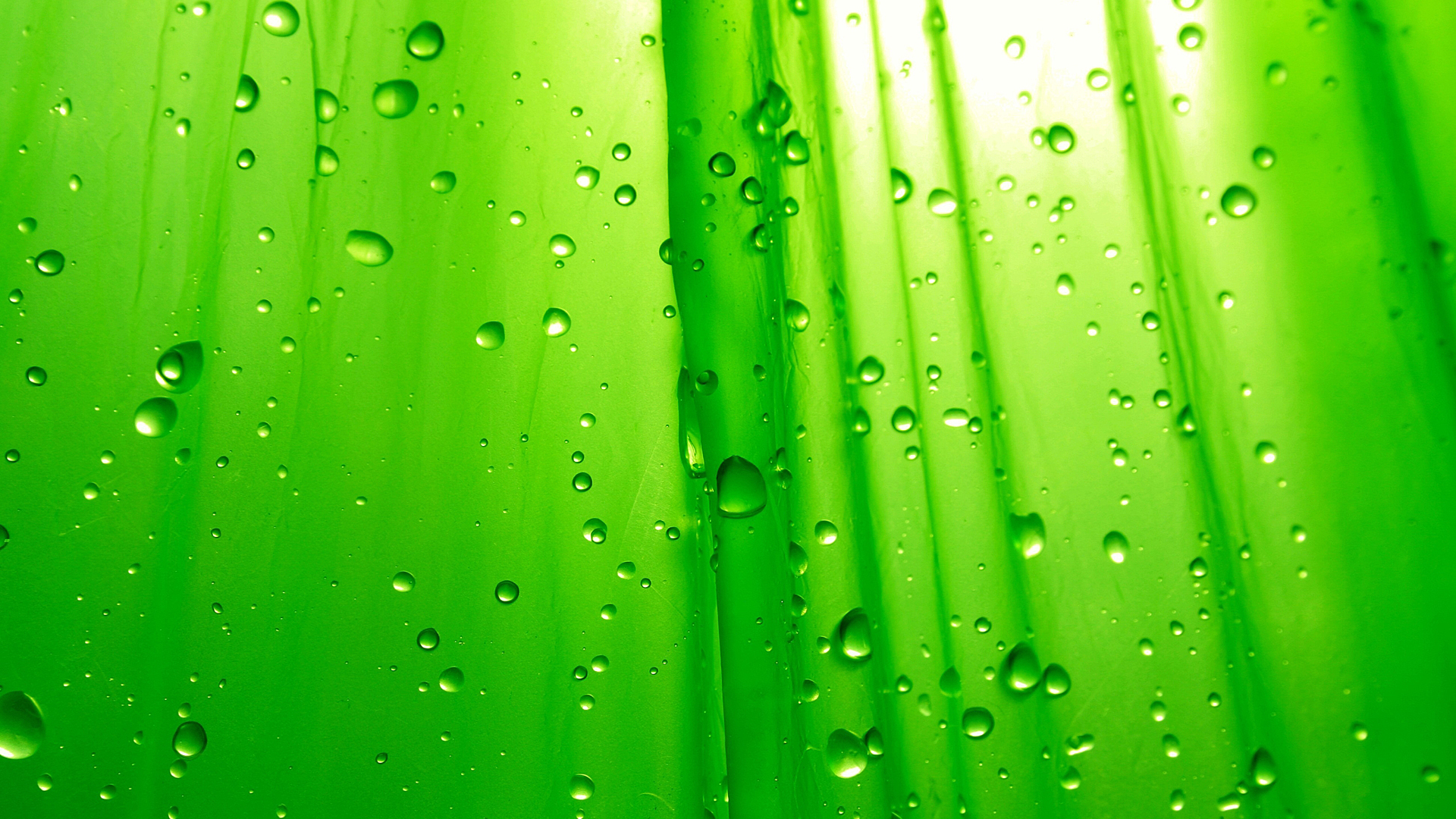 green, water drops - desktop wallpaper