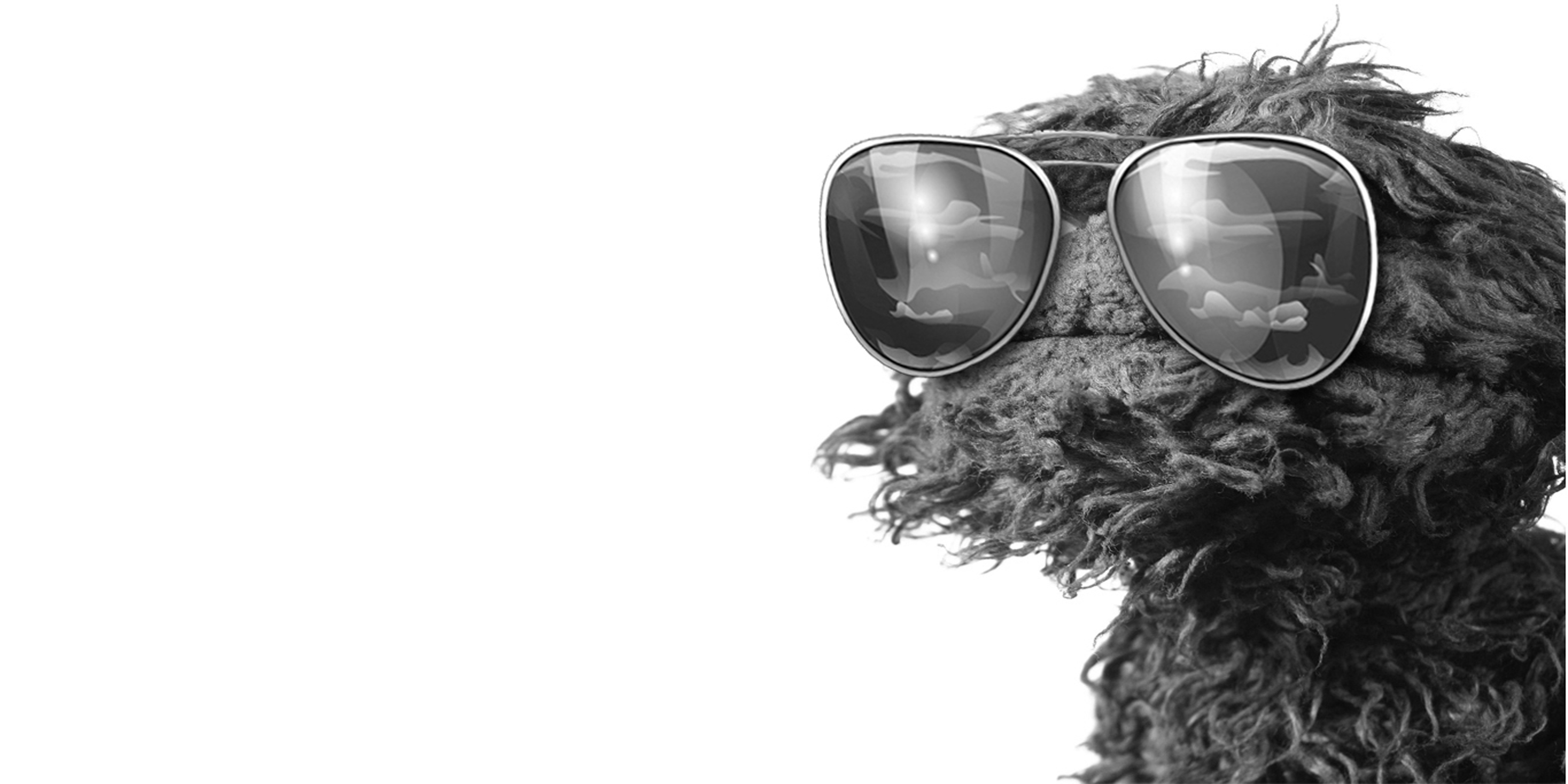 muppet, Oscar the Grouch - desktop wallpaper