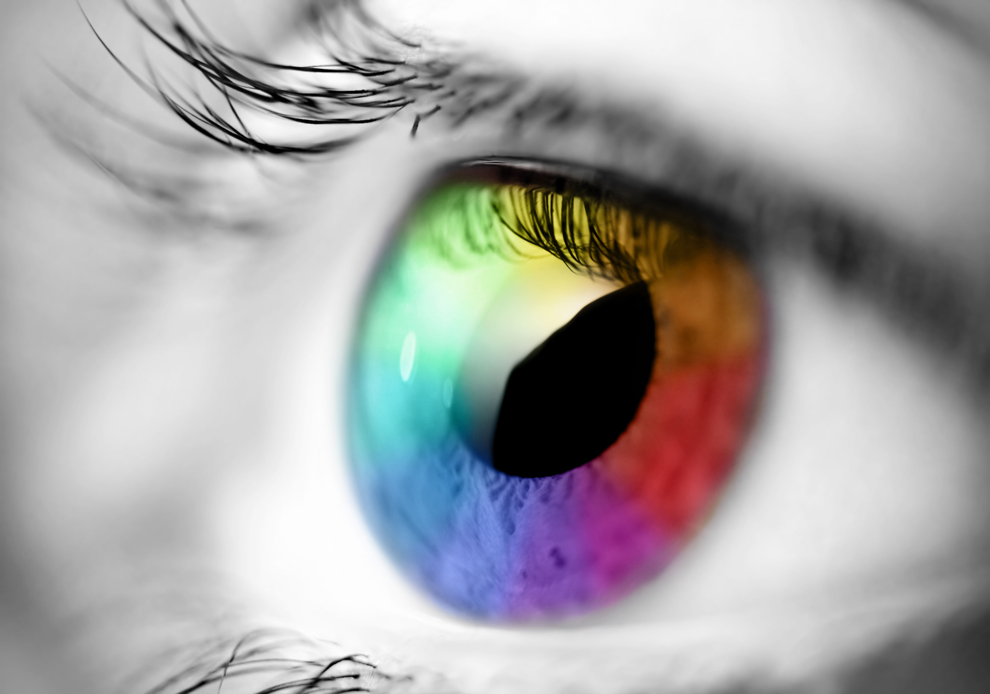 close-up, eyes, rainbows, selective coloring - desktop wallpaper