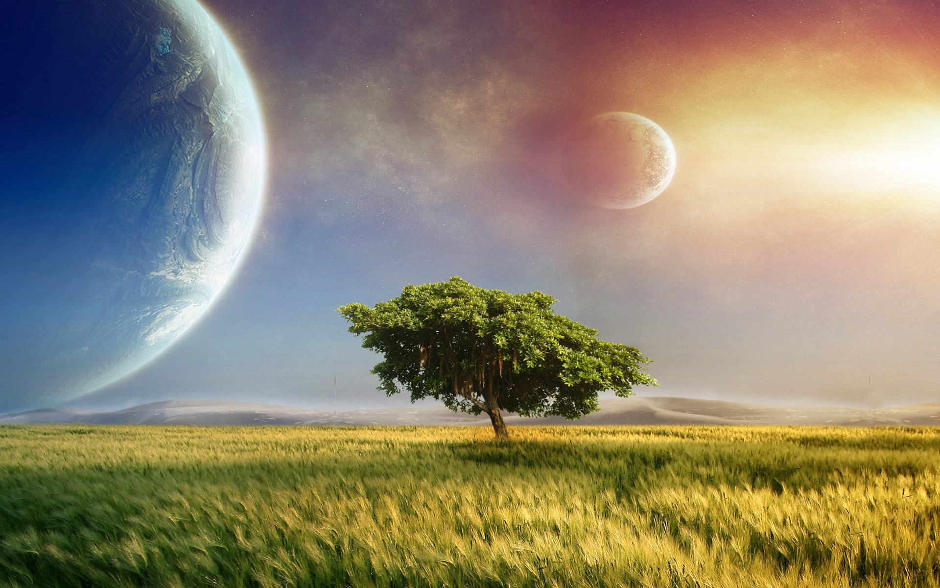 nature, outer space, trees, planets, grass, science fiction - desktop wallpaper