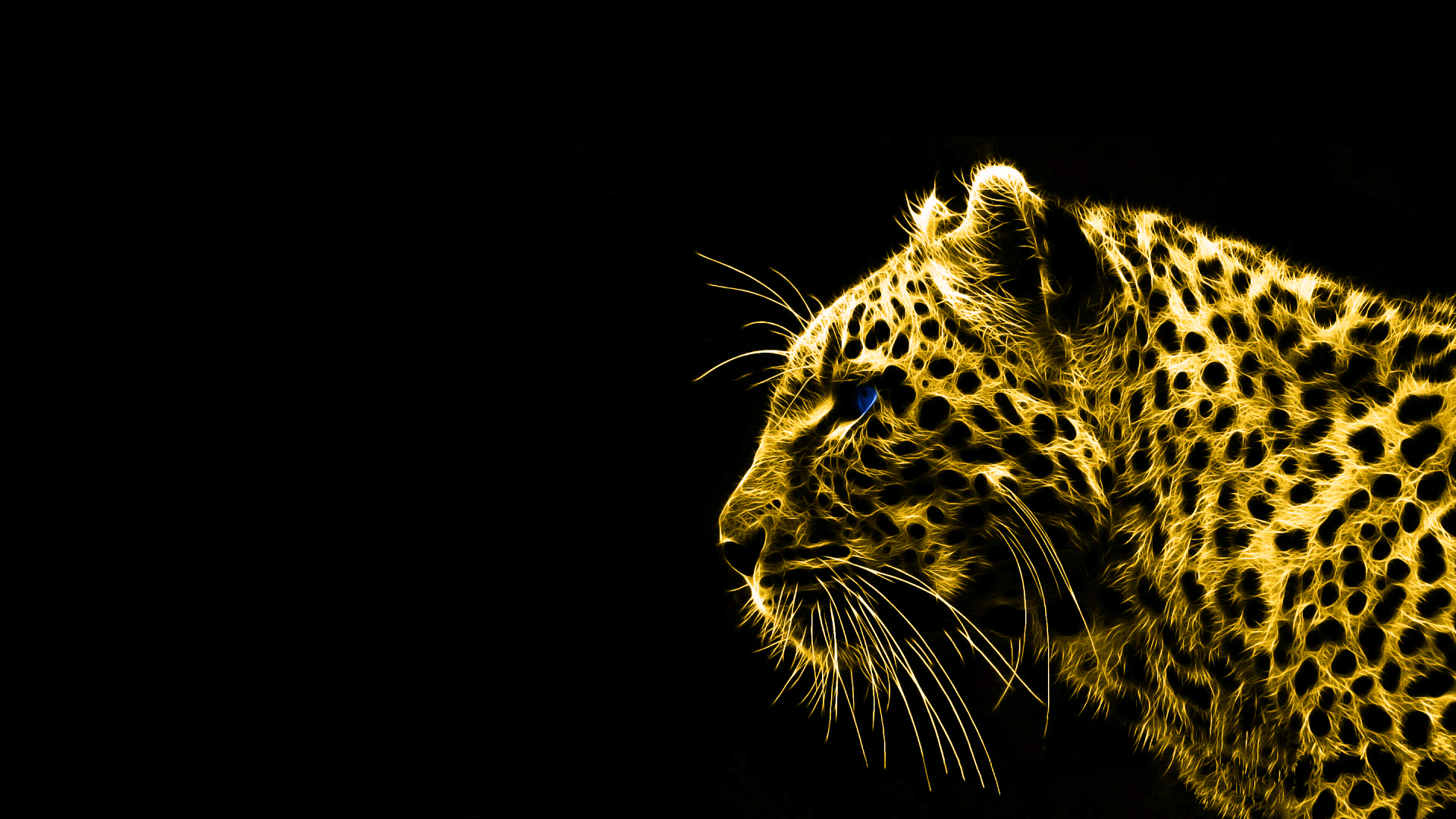 animals, Fractalius, gold, leopards, black background - desktop wallpaper