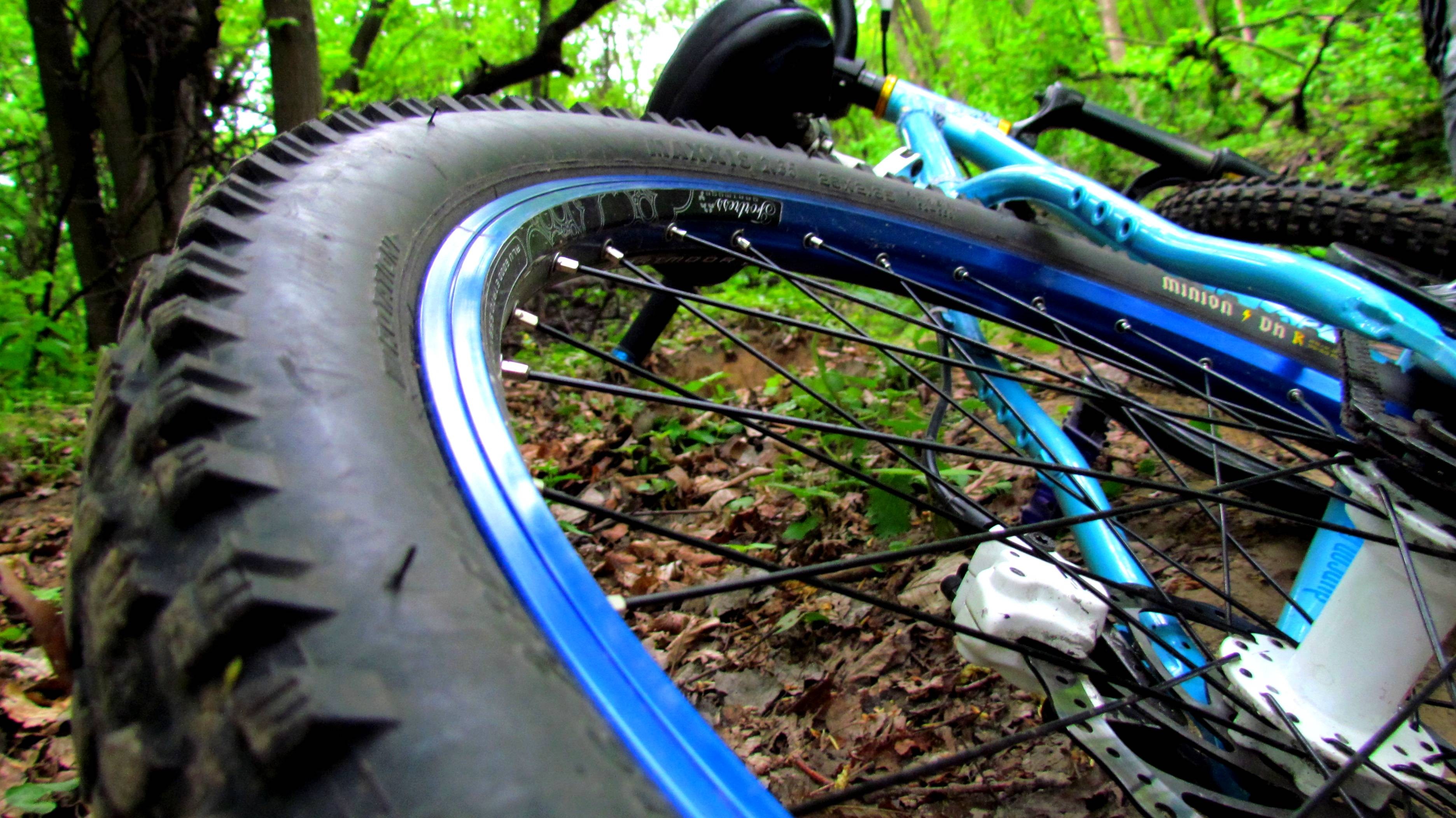 forests, bicycles, sports, spring, Ukraine, mountain bikes - desktop wallpaper