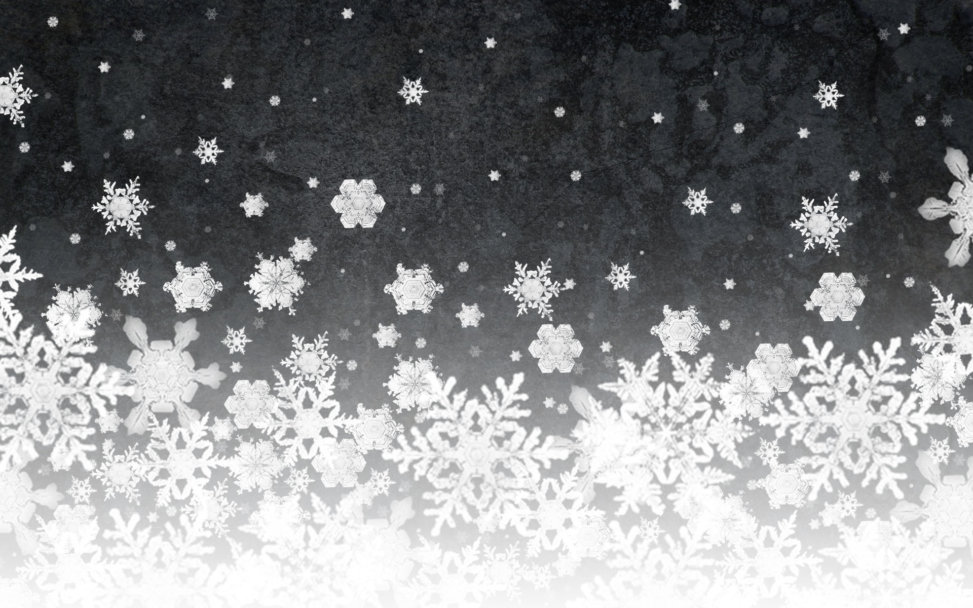 abstract, snowflakes - desktop wallpaper