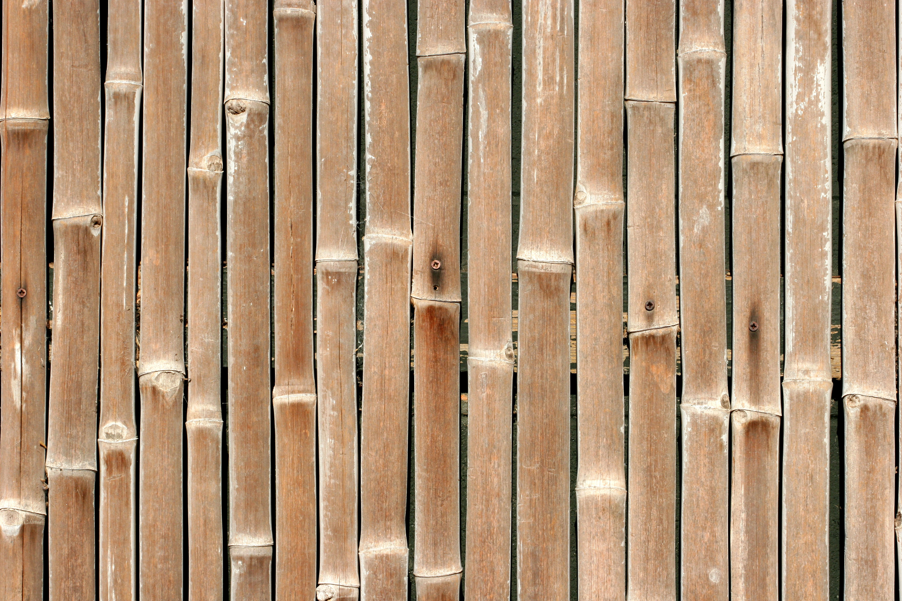 nature, wood, bamboo, textures - desktop wallpaper