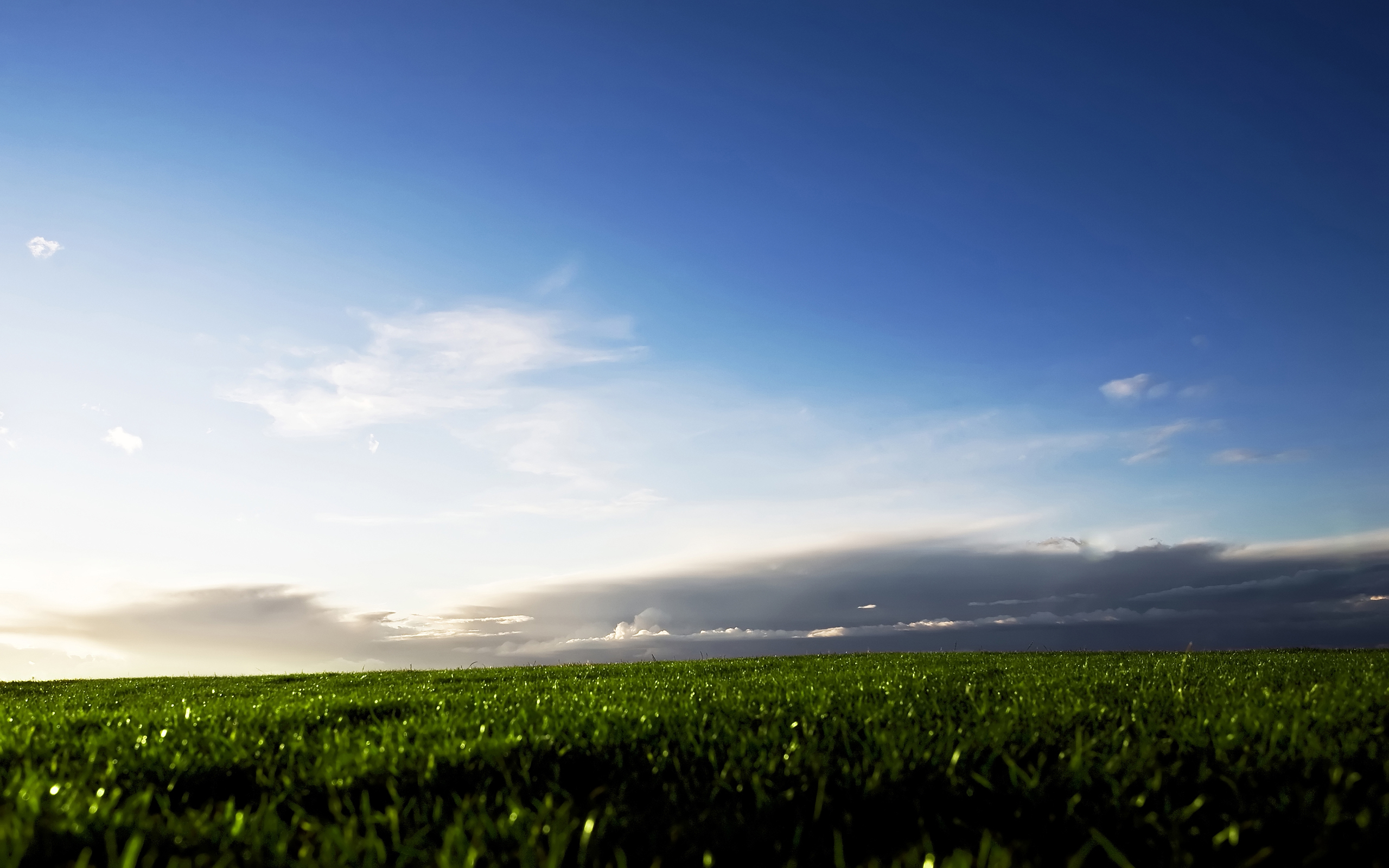 grass, fields, skyscapes - desktop wallpaper