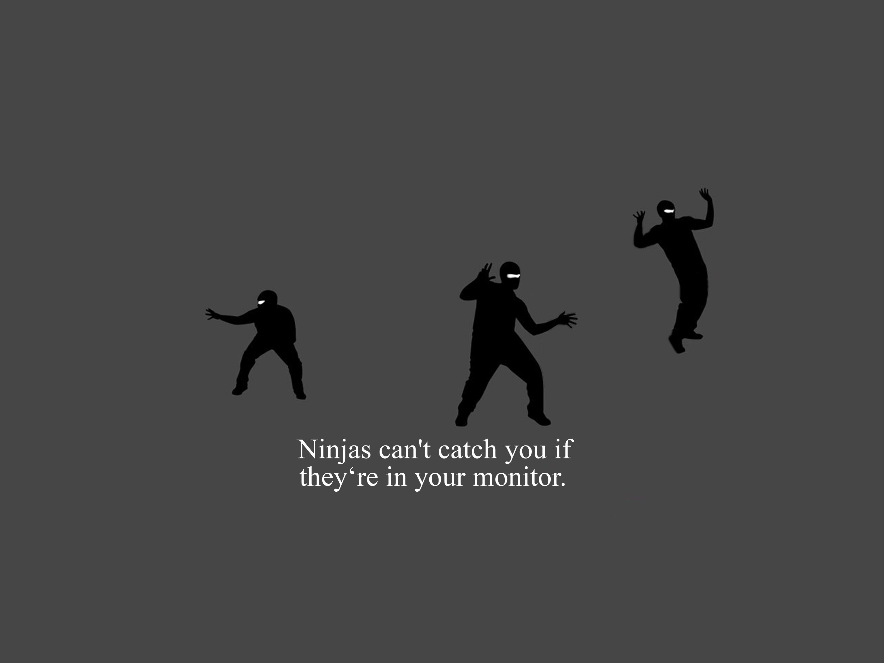 ninjas, ninjas cant catch you if - desktop wallpaper