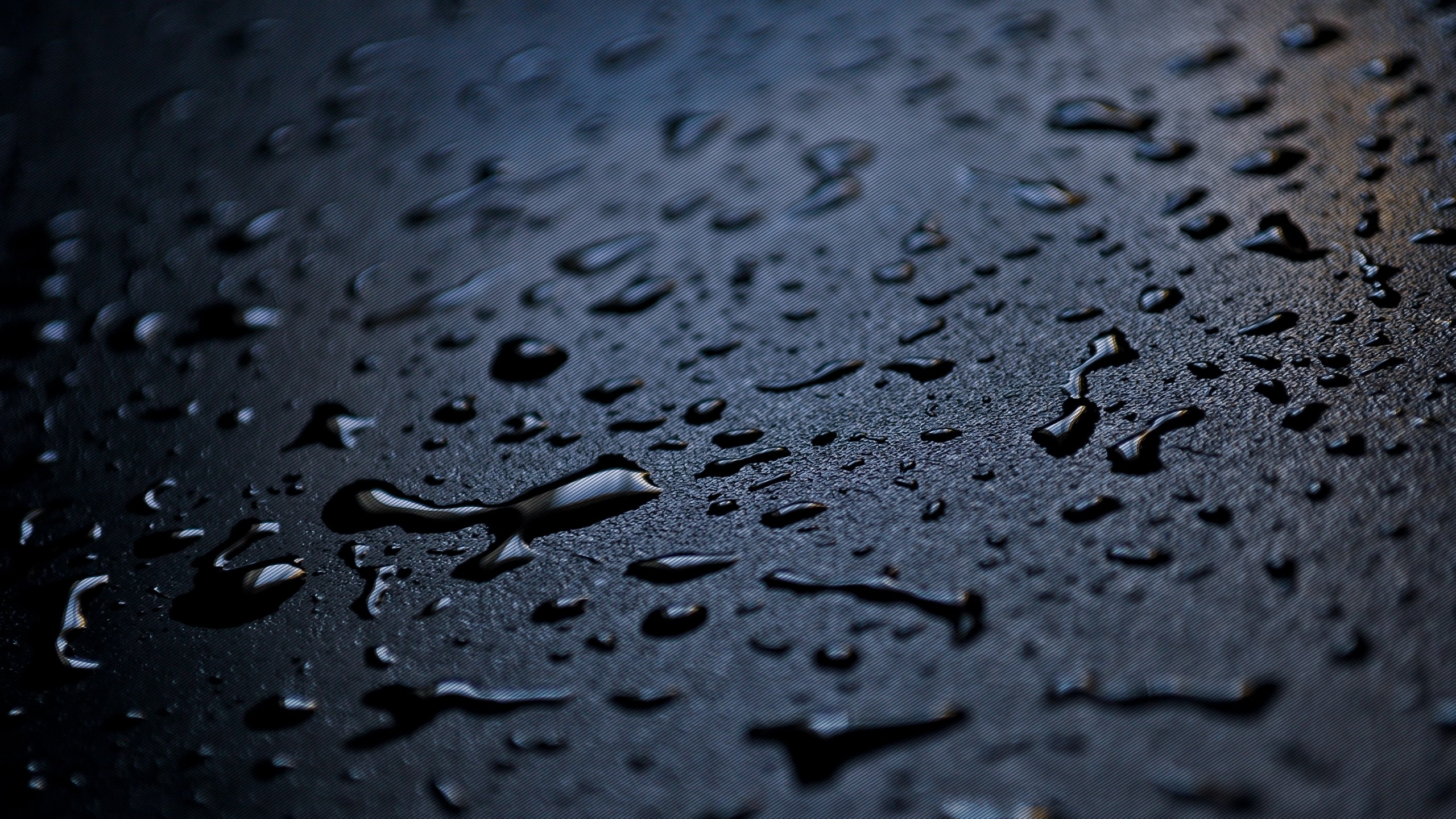 close-up, raindrops - desktop wallpaper