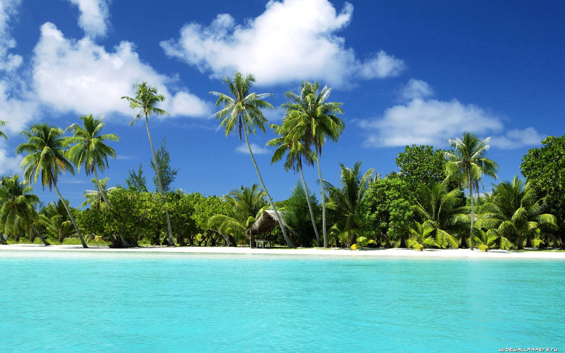 ocean, clouds, nature, palm trees, beaches - desktop wallpaper