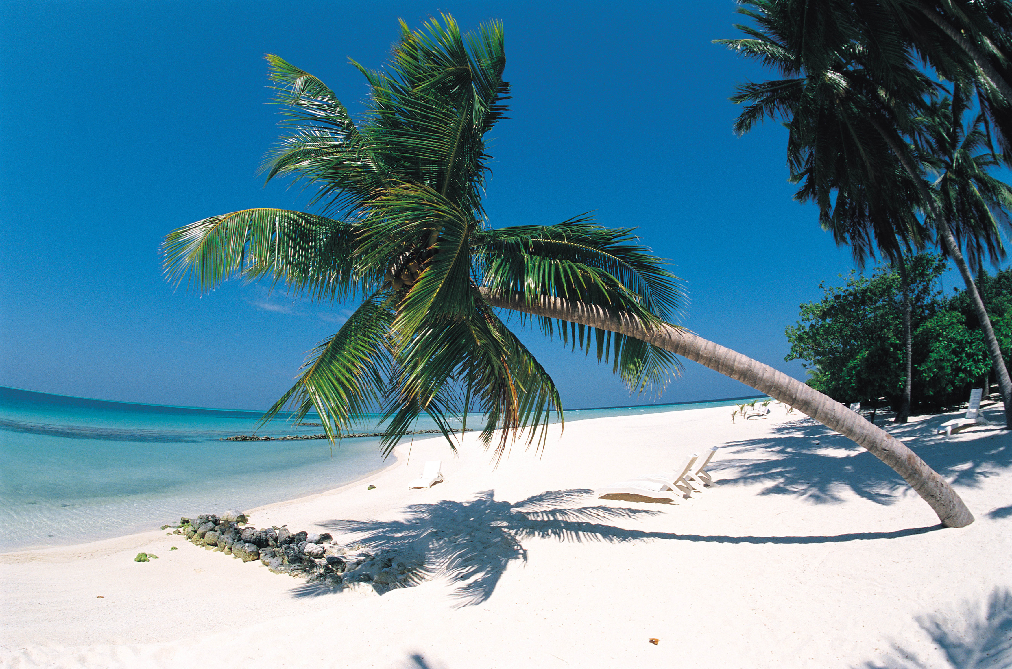 ocean, islands, palm trees, beaches - desktop wallpaper