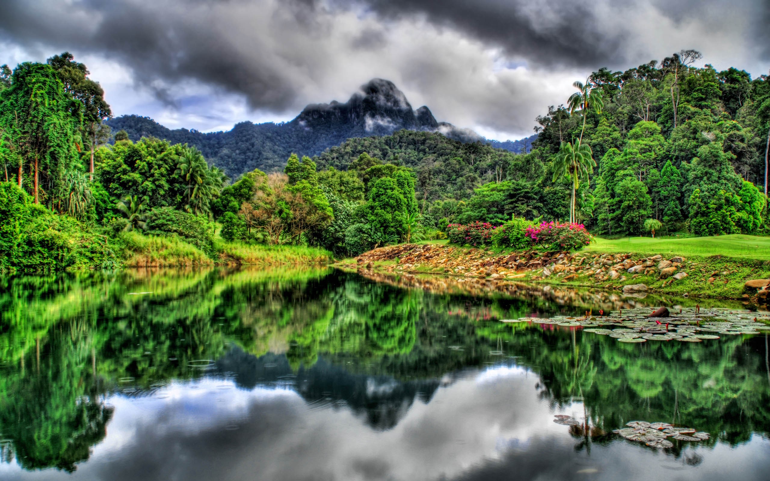 mountains, landscapes, jungle, HDR photography, rivers - desktop wallpaper