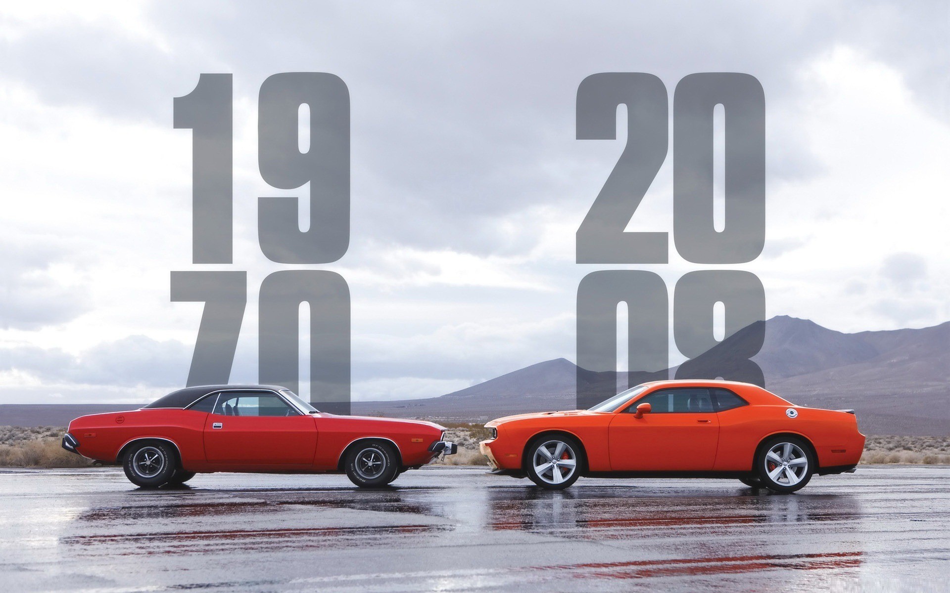 cars, 2008, Dodge Challenger, 1970 - desktop wallpaper