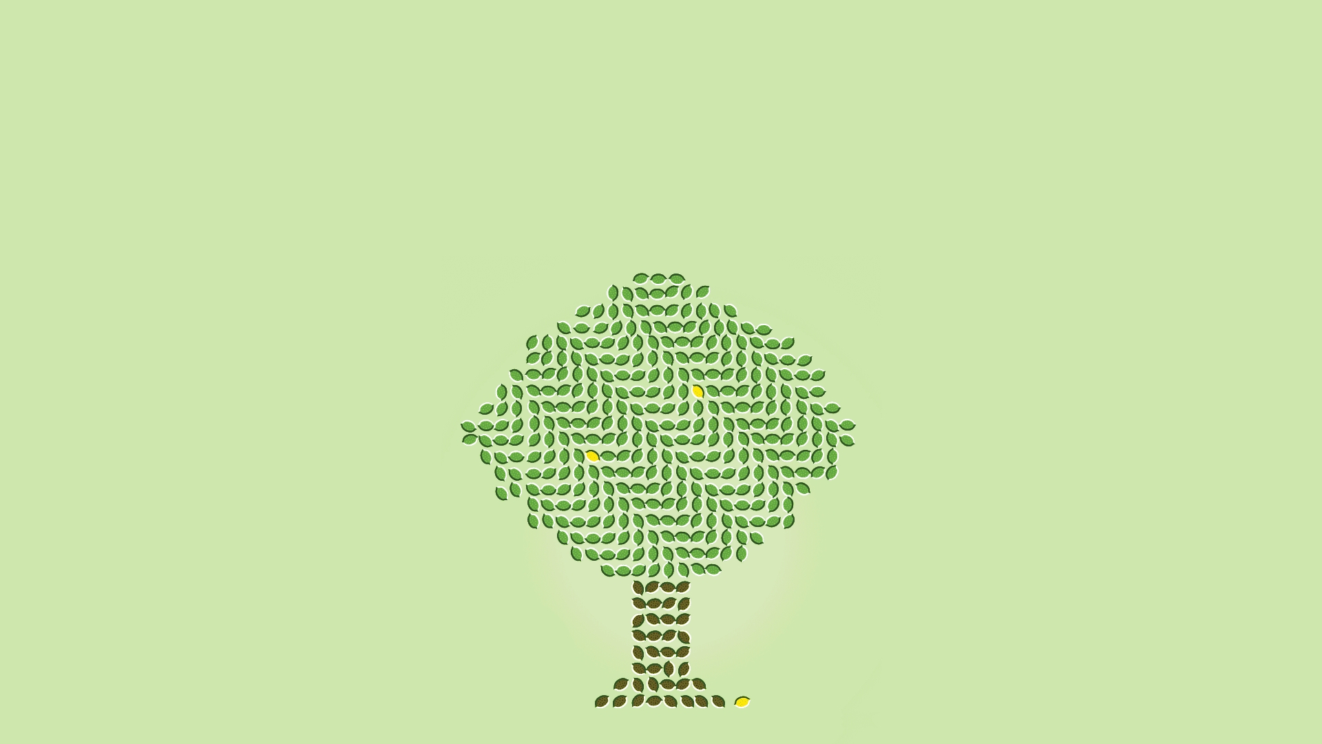 trees, citrus, funny, simple background, lemons, green background - desktop wallpaper