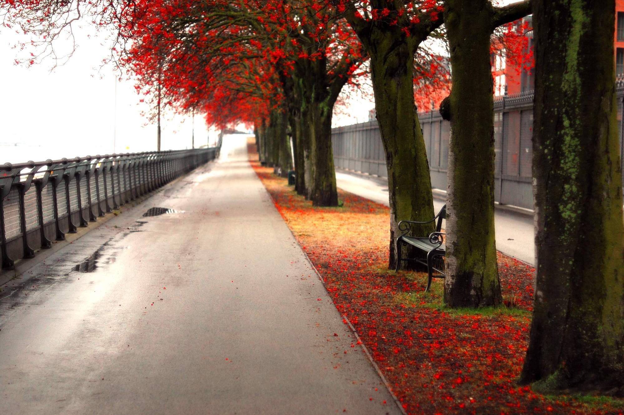 autumn, Ubuntu, Alley - desktop wallpaper