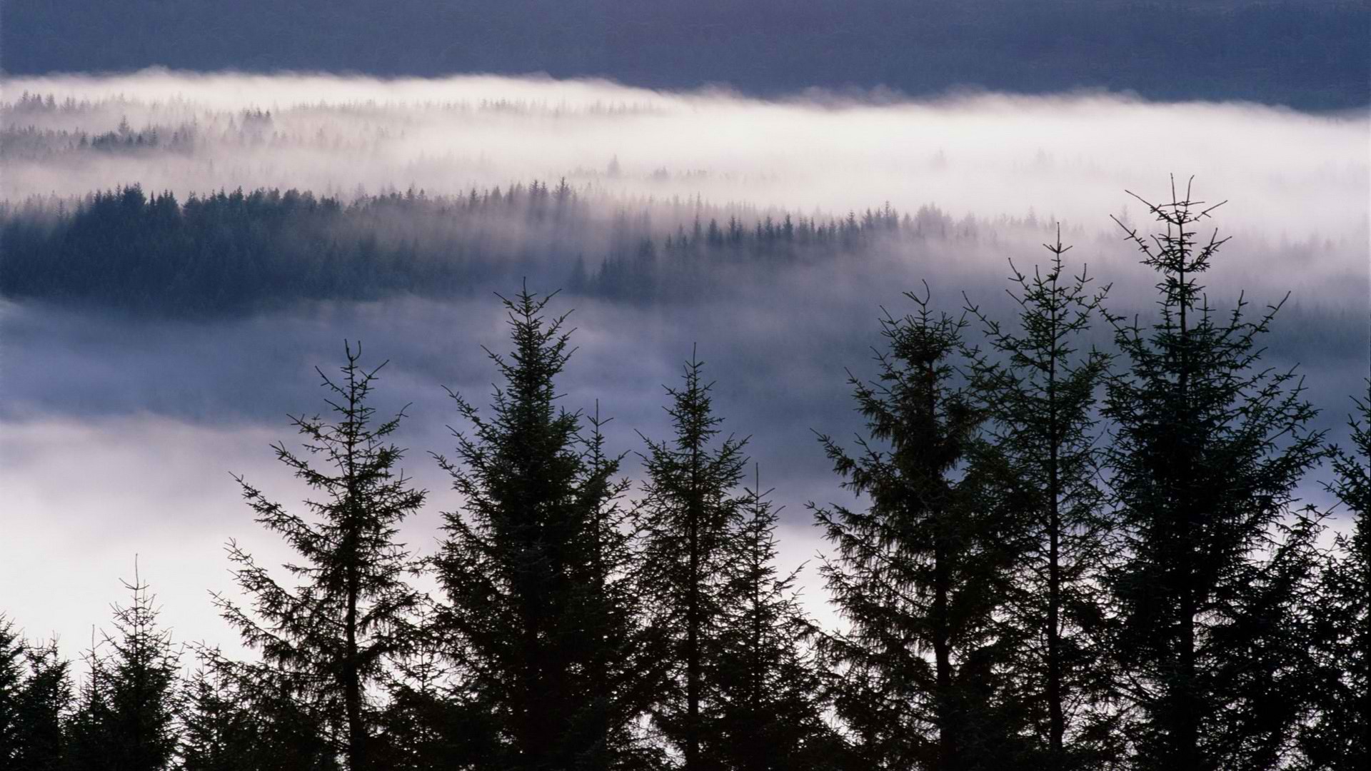 garry, mist, Scotland, Highlands - desktop wallpaper