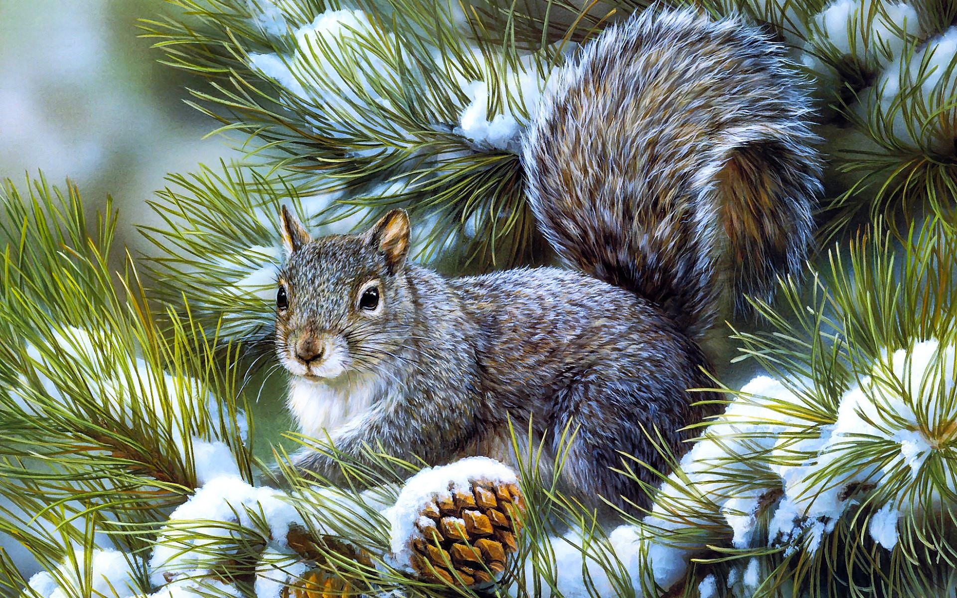 animals, squirrels, artwork - desktop wallpaper