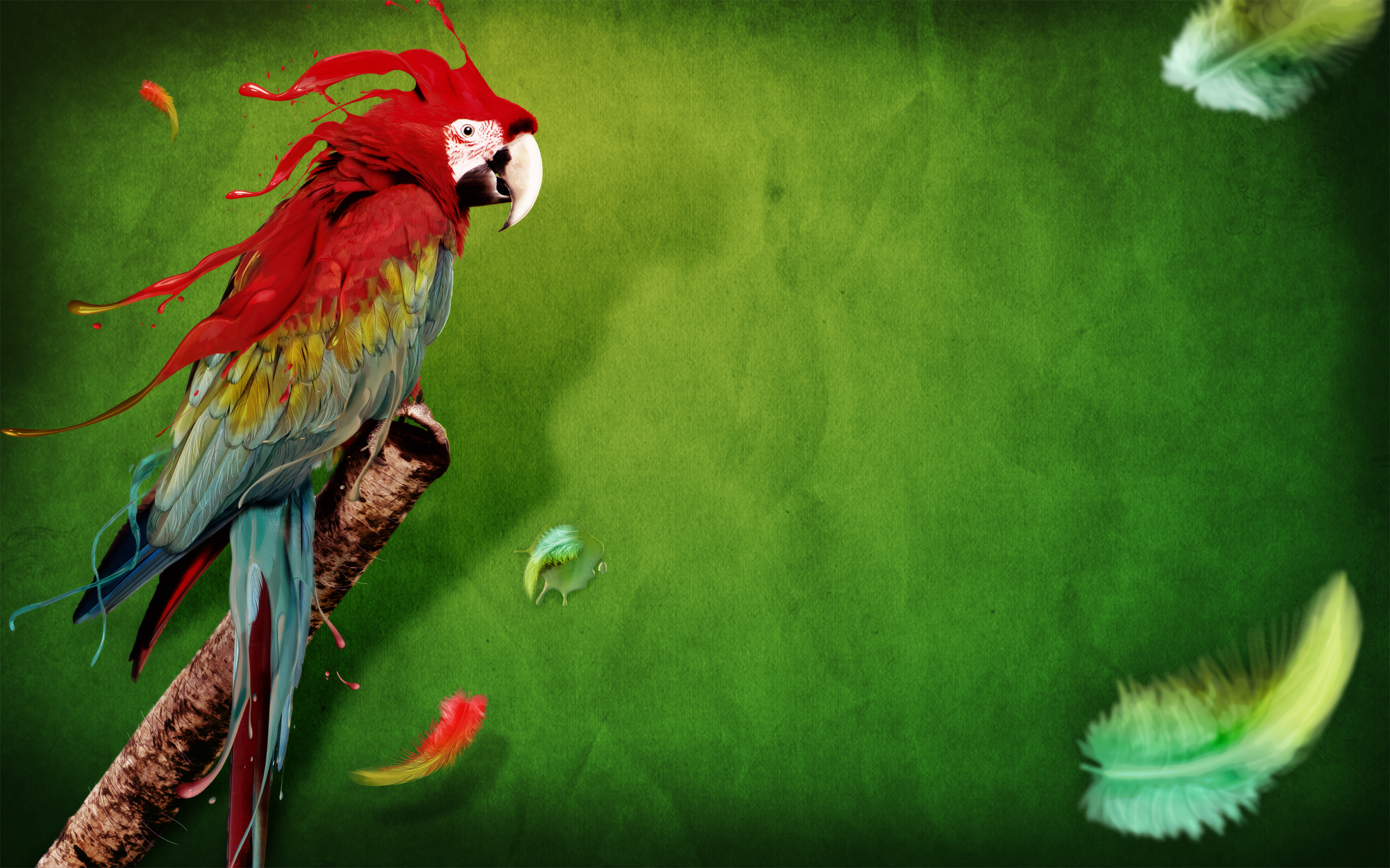 birds, liquid, parrots, feathers, green background - desktop wallpaper