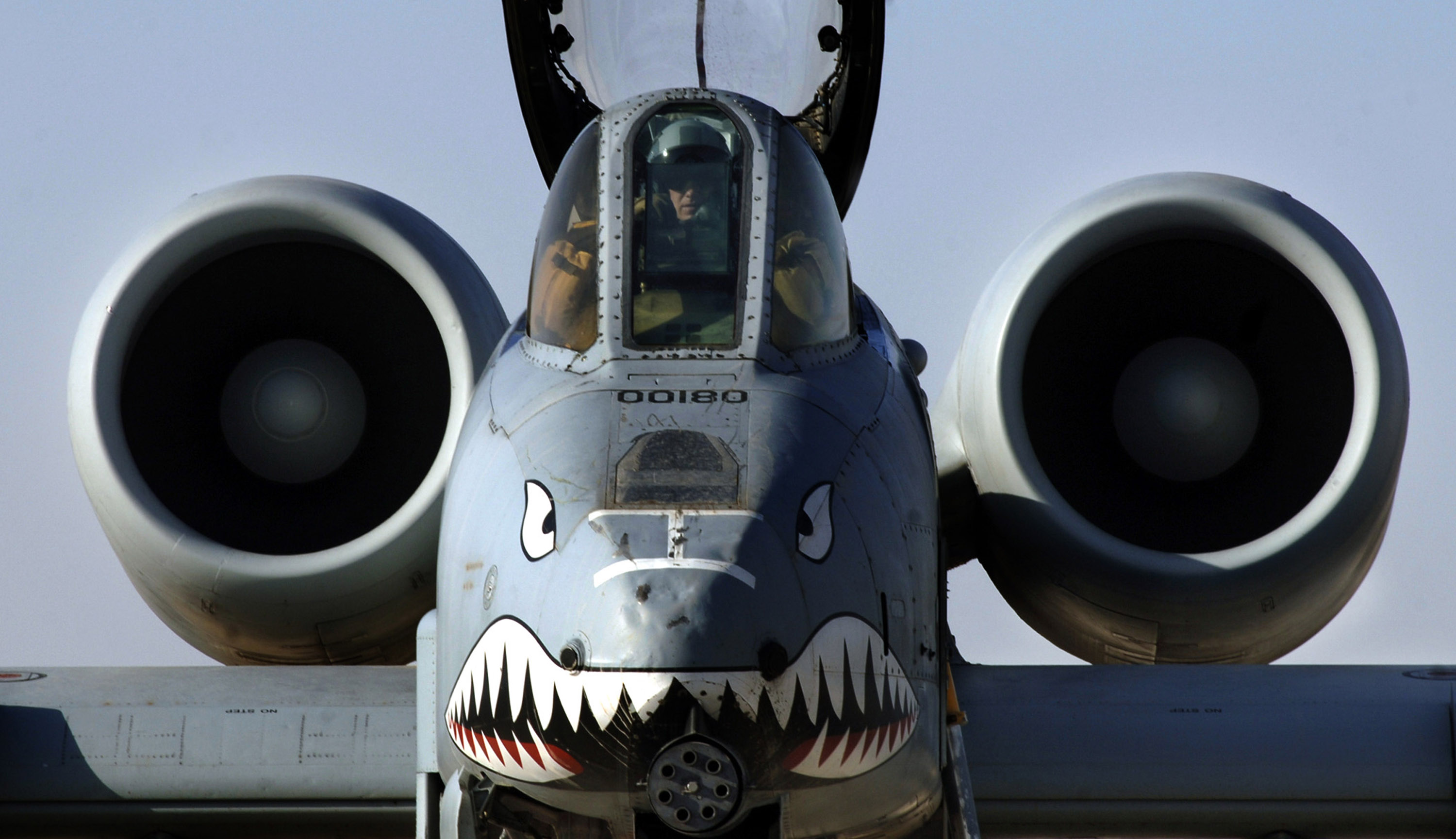 aircraft, military, A-10 Thunderbolt II, nose art - desktop wallpaper