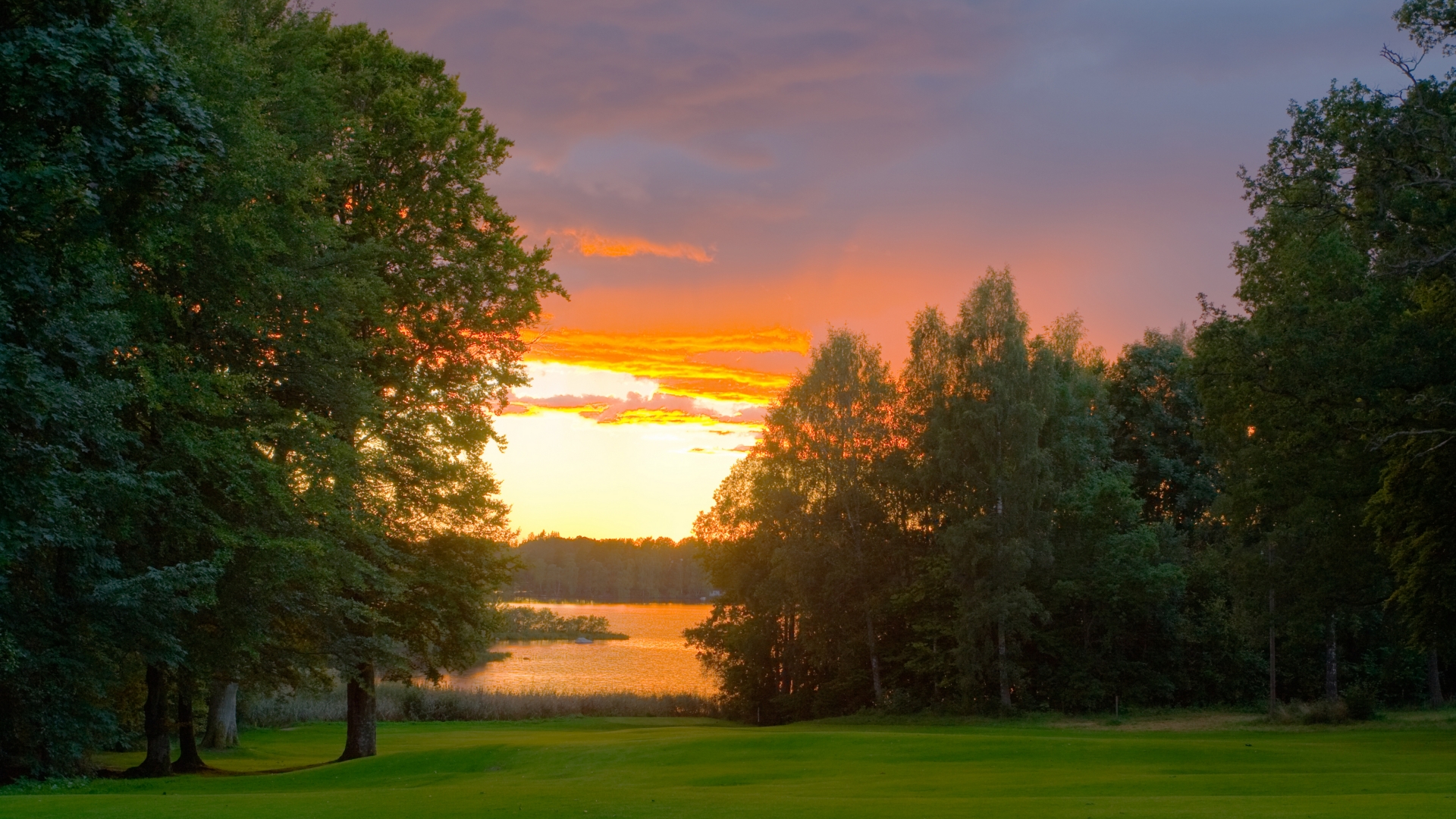 sunset, landscapes, trees, lakes, parks - desktop wallpaper