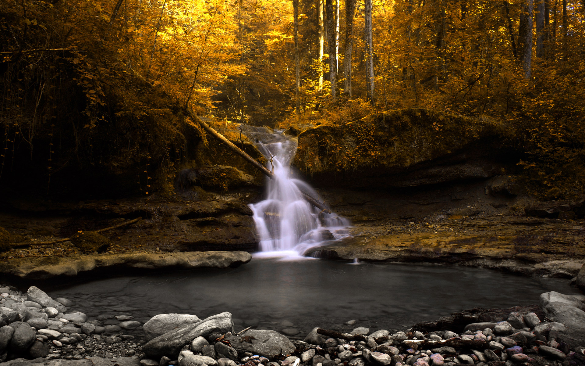 landscapes, forests, waterfalls - desktop wallpaper