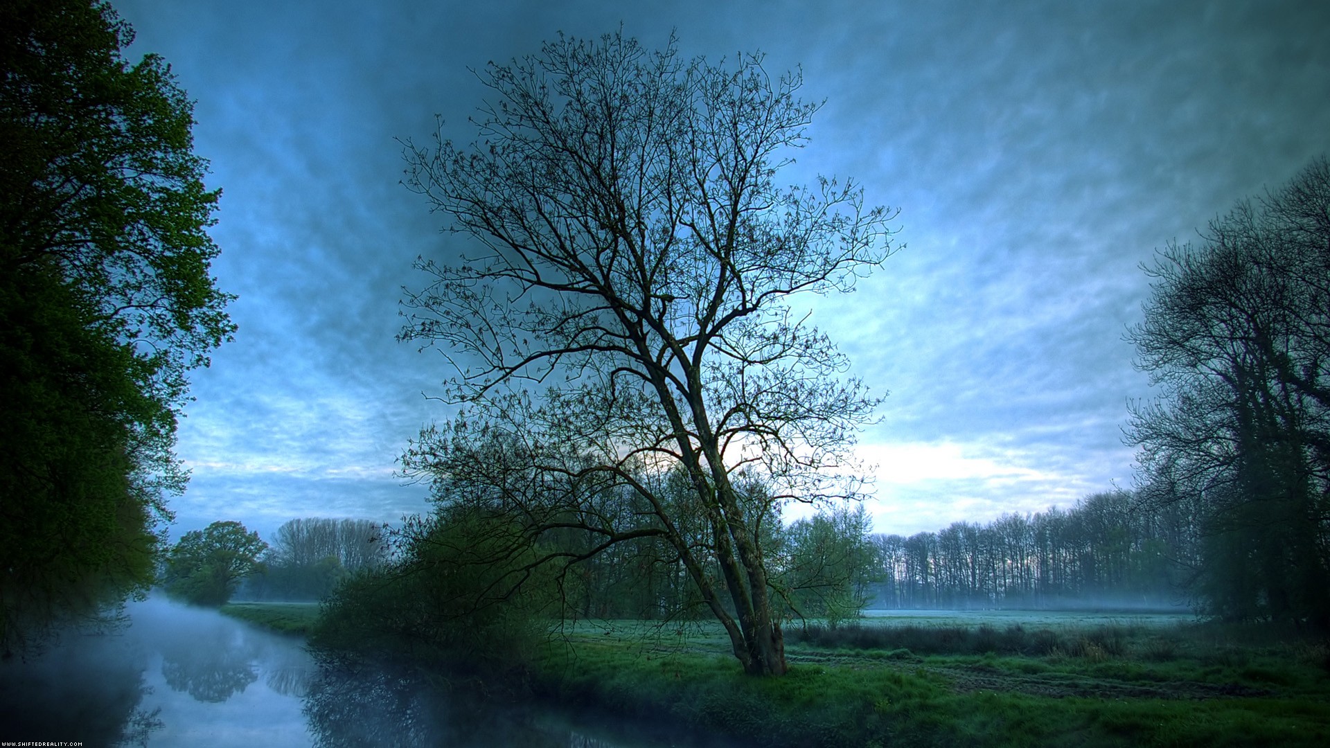 landscapes, nature, trees, mist, rivers, reflections, evening - desktop wallpaper