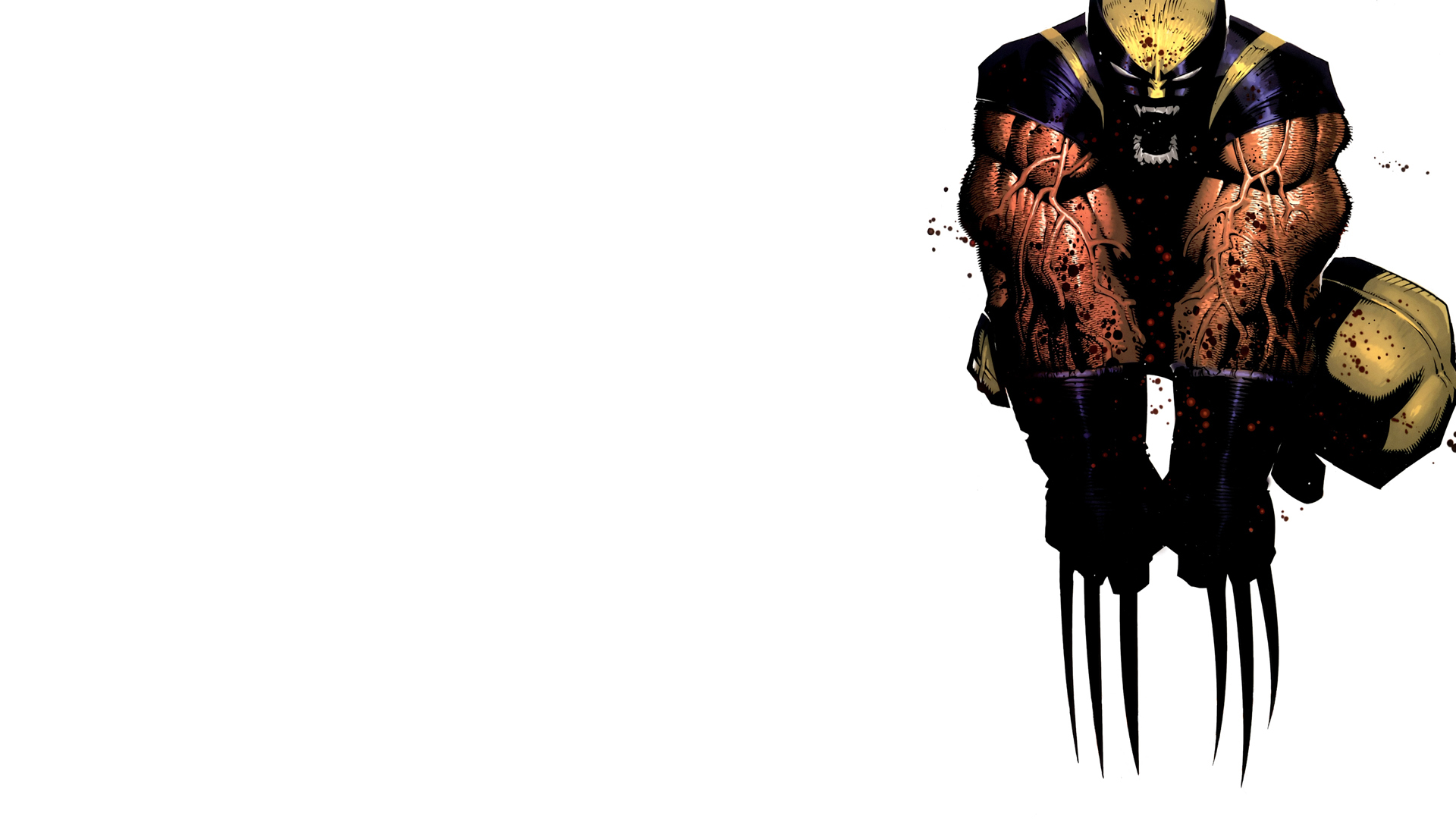 Wolverine, Marvel Comics, white background - desktop wallpaper