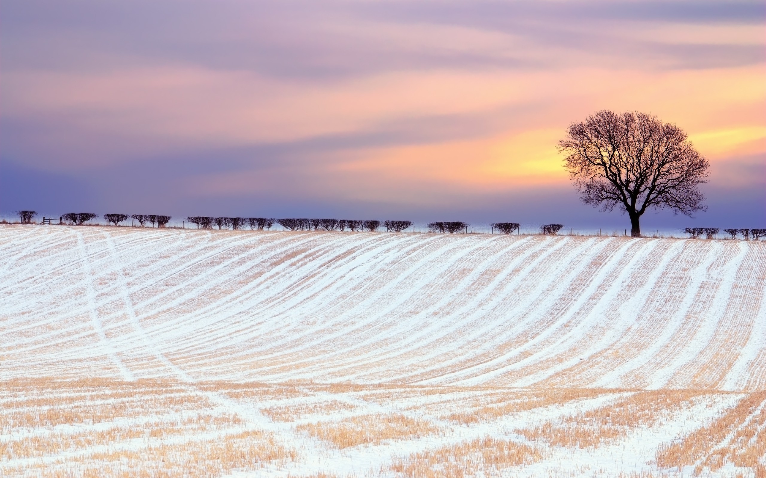 sunset, landscapes, nature, winter, snow, dawn, fields, skyscapes - desktop wallpaper