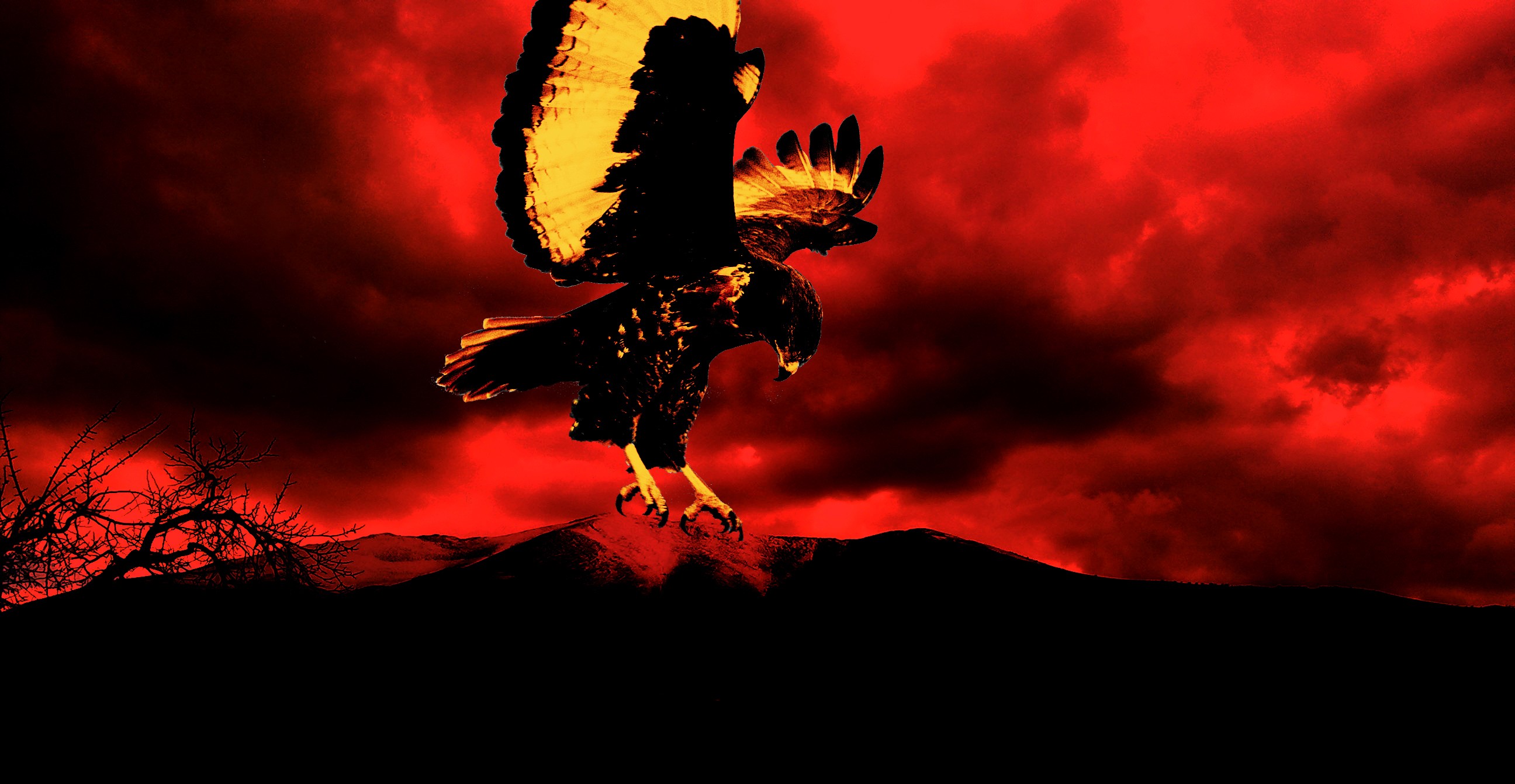 sunset, Horus Sun God, bird of prey - desktop wallpaper