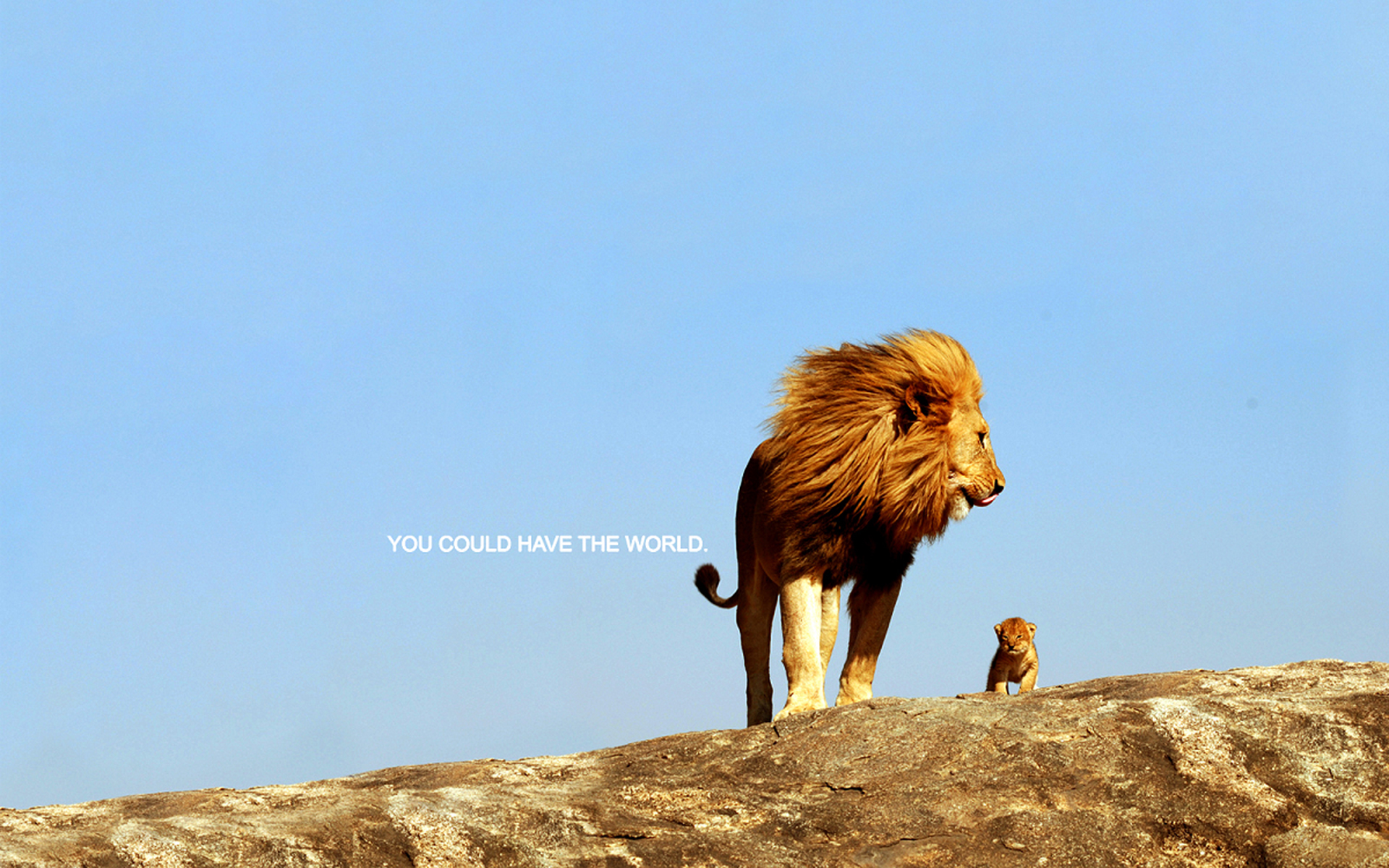 mountains, nature, animals, rocks, cubs, inspirational, kittens, lions, skyscapes, motivational posters - desktop wallpaper