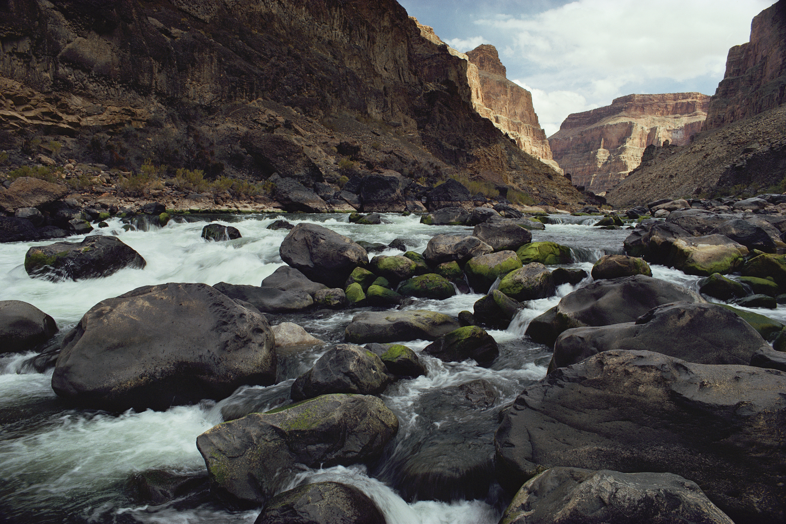 rocks, Grand Canyon, rivers, National Park - desktop wallpaper
