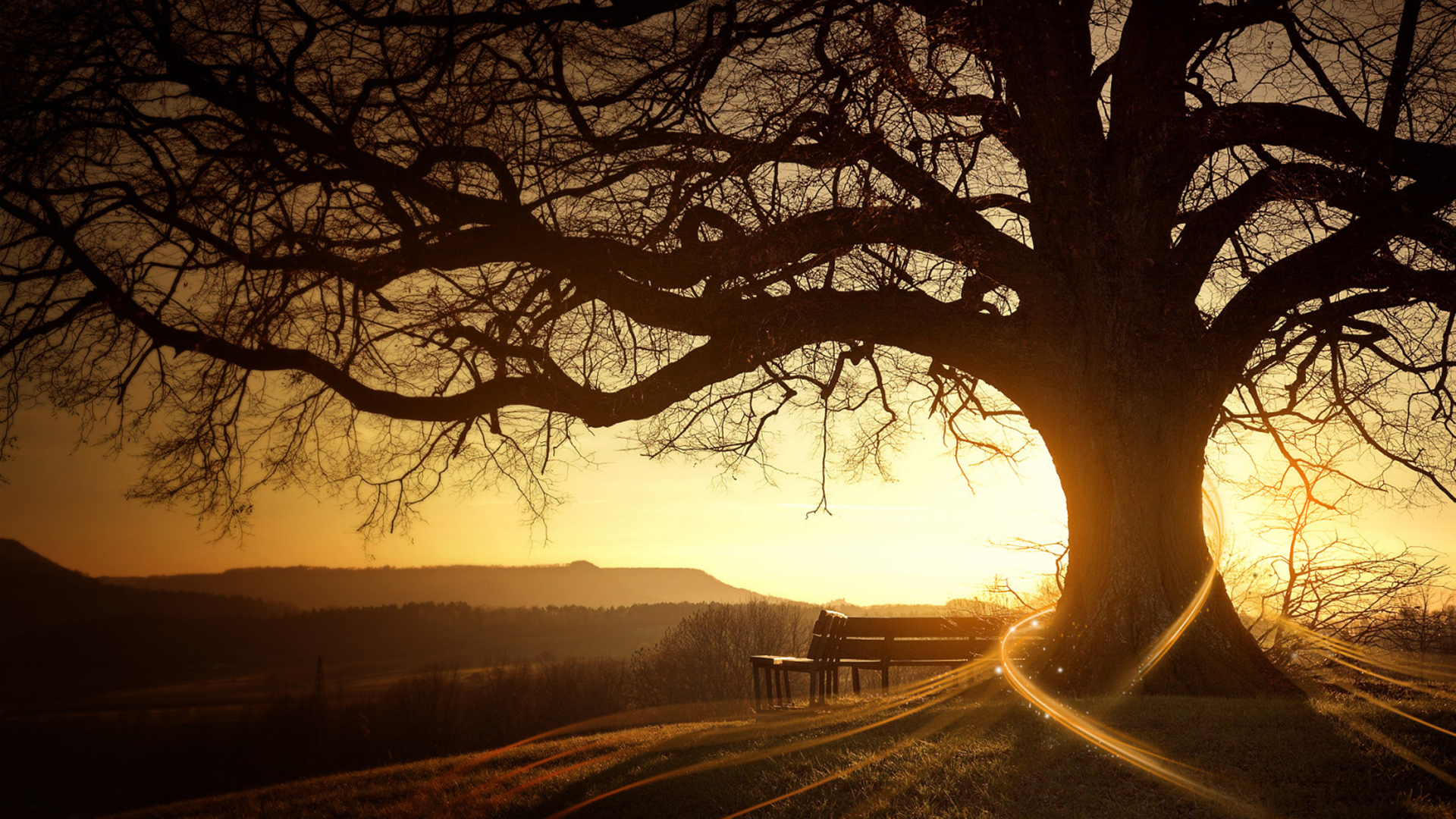 sunset, landscapes, nature, trees, silhouettes, bench, sunlight, Desktopography - desktop wallpaper