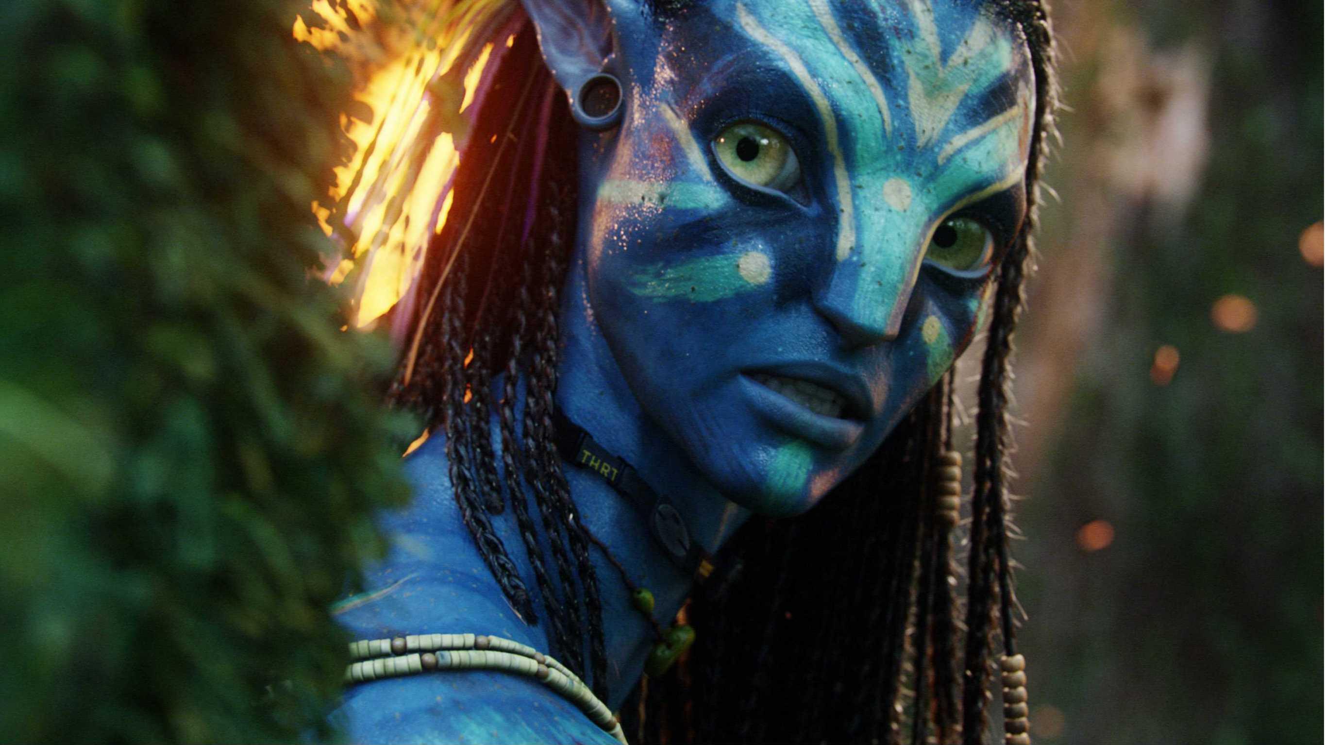 movies, Avatar, Neytiri, Zoe Saldana - desktop wallpaper