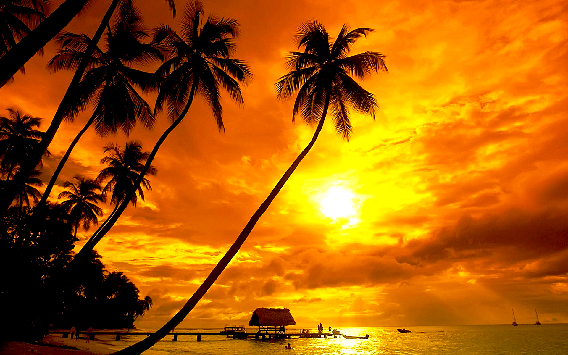 sunset, silhouettes, tropical, palm trees, huts - desktop wallpaper