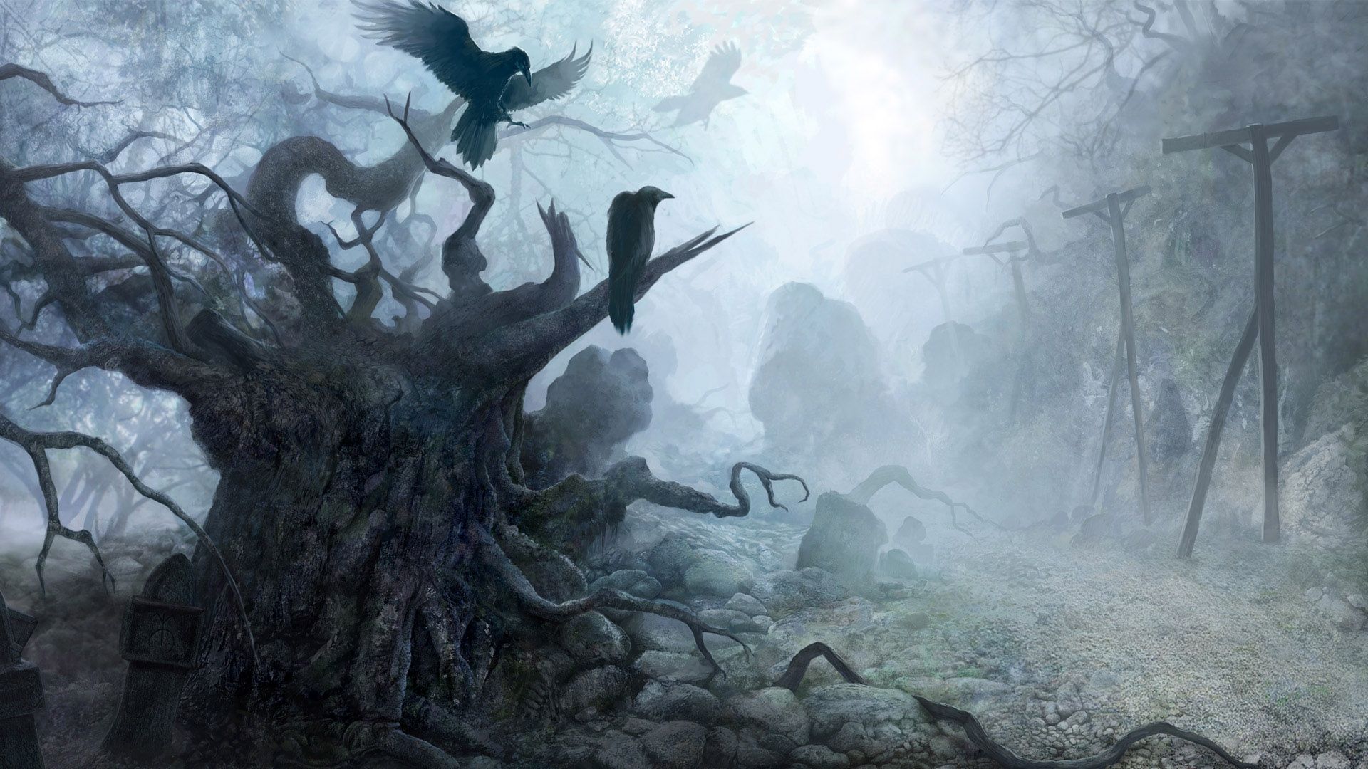 creepy, video games, forests, mist, The Witcher - desktop wallpaper