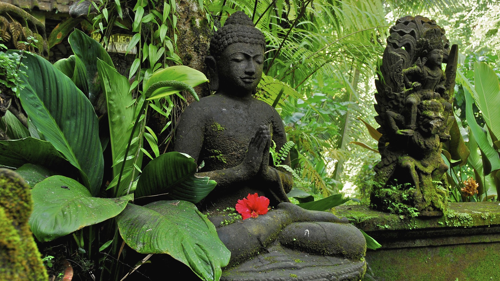 nature, plants, sculptures, Buddhism, statues - desktop wallpaper