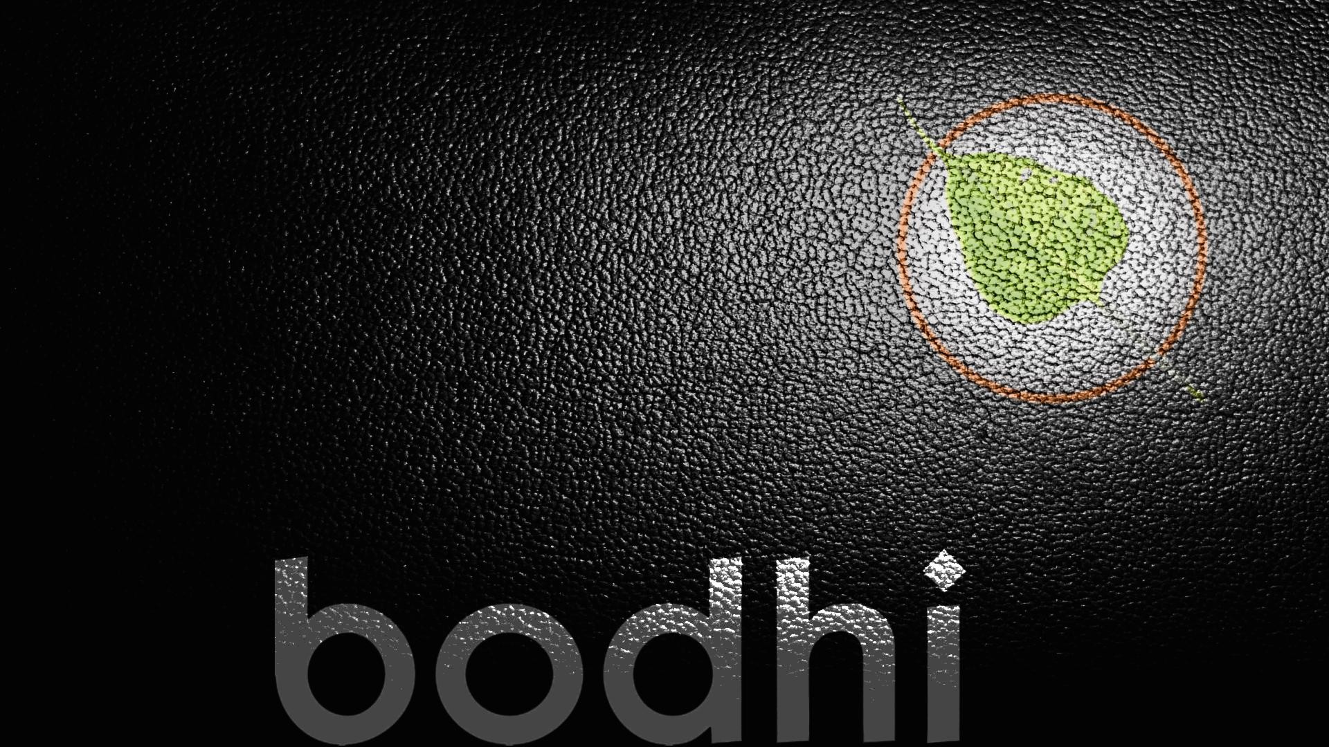 text, Linux, textures, Bodhi Linux - desktop wallpaper