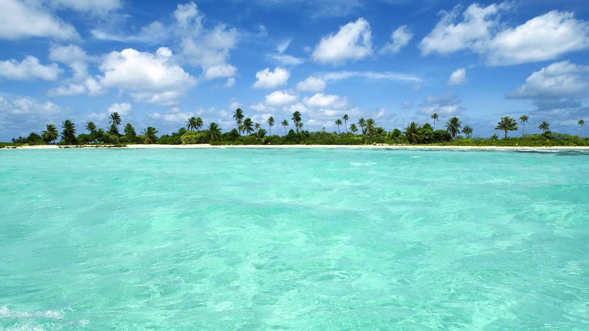 paradise, islands, palm trees - desktop wallpaper